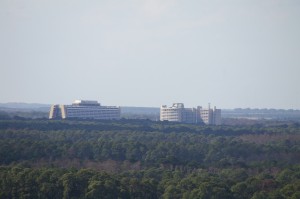 Contemporary Resort in Magic Kingdom area